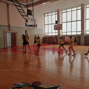 Basketbal dívky – krajské kolo